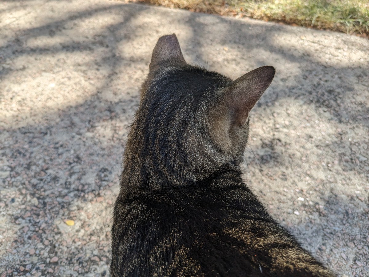 Troy, August 10, 2023