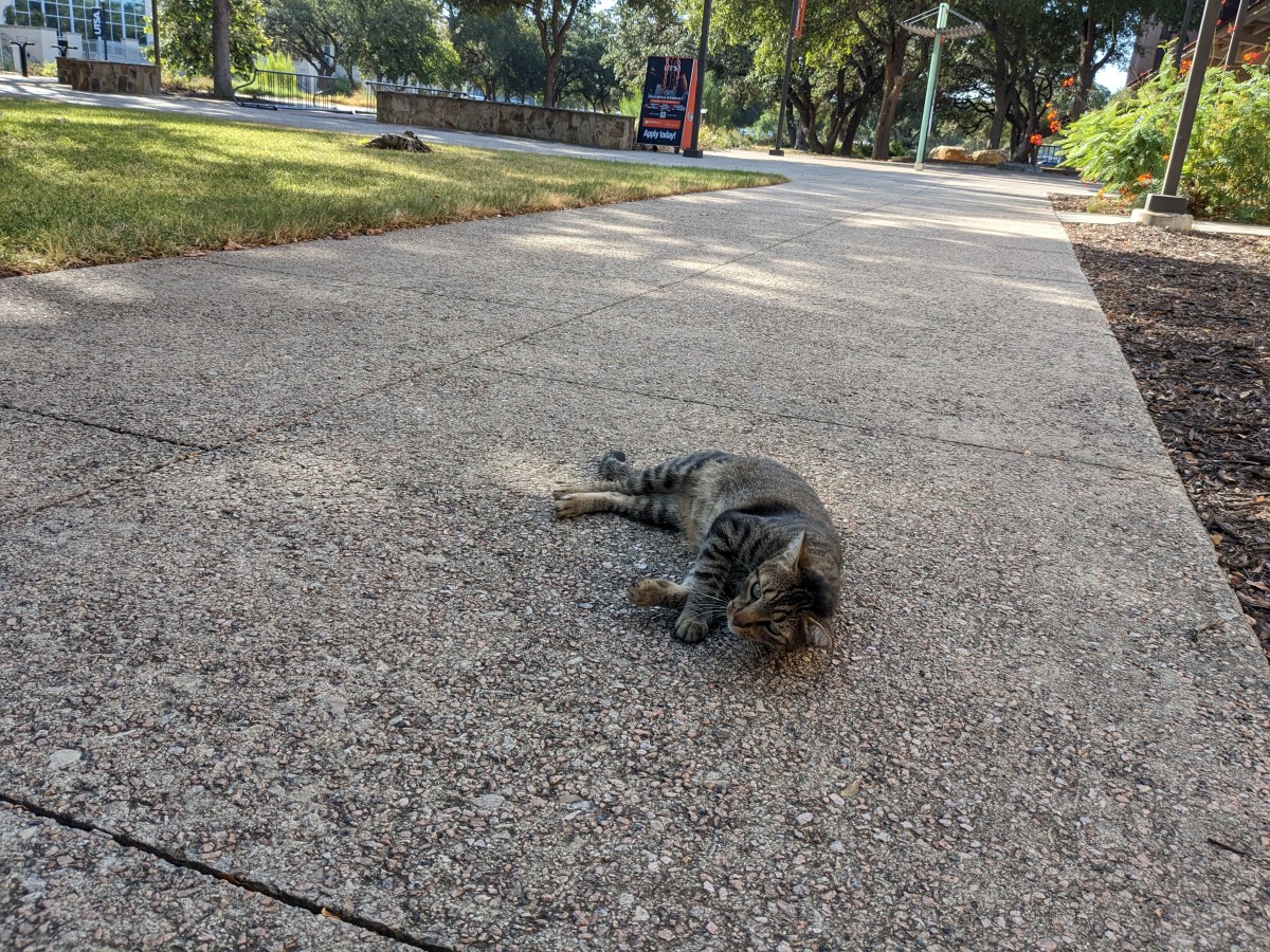 Troy, August 7, 2023