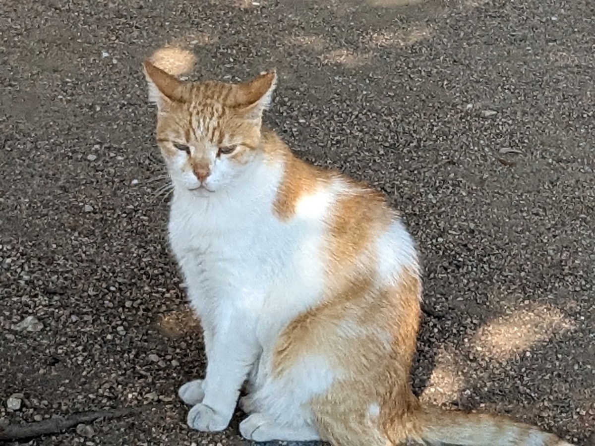 Harry, September 24, 2023