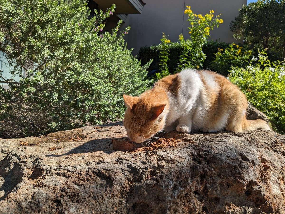 Harry, September 24, 2023