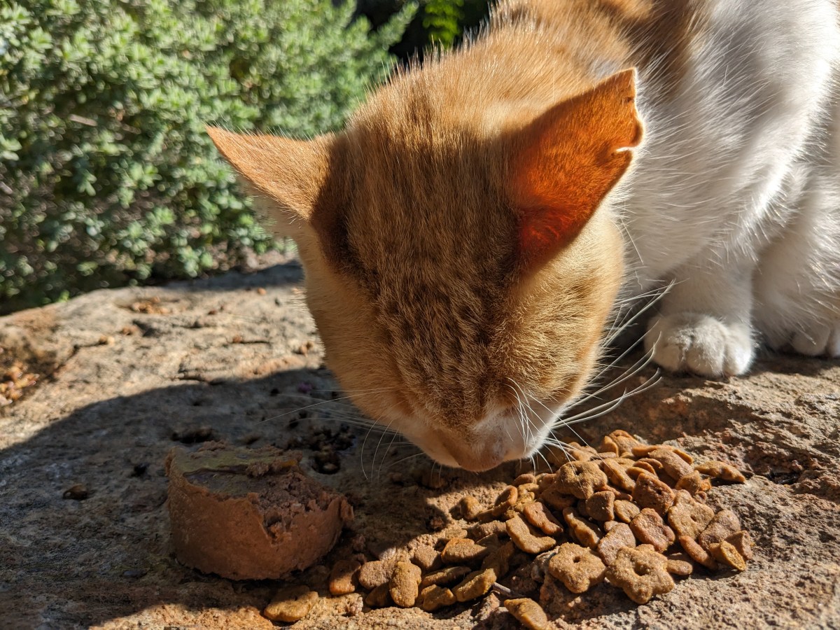 Harry. September 24, 2023