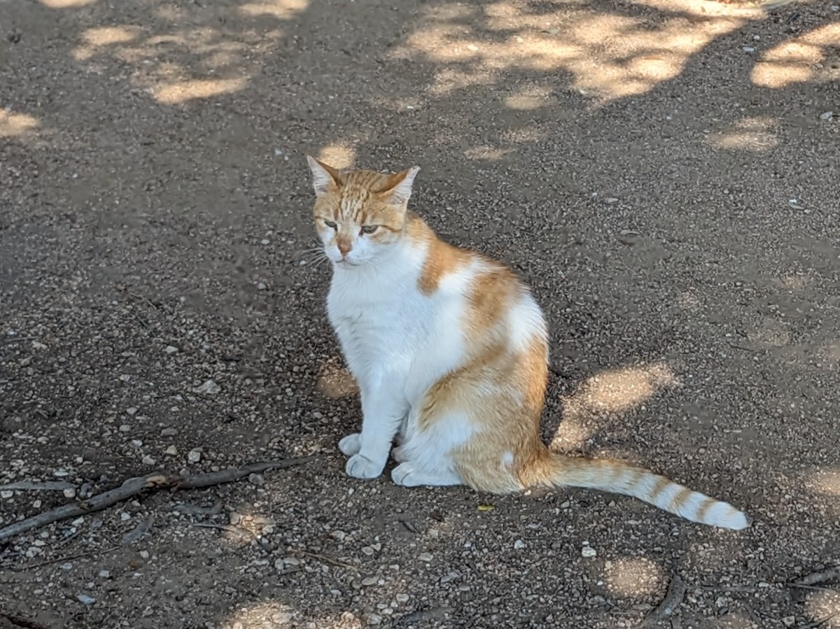 Harry, September 24, 2023