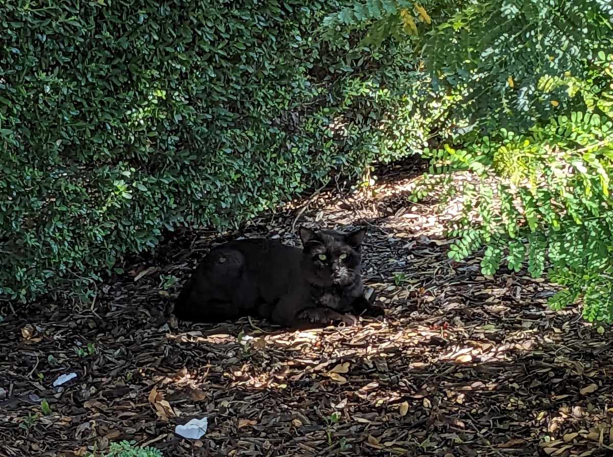 Lamar, September 24, 2023