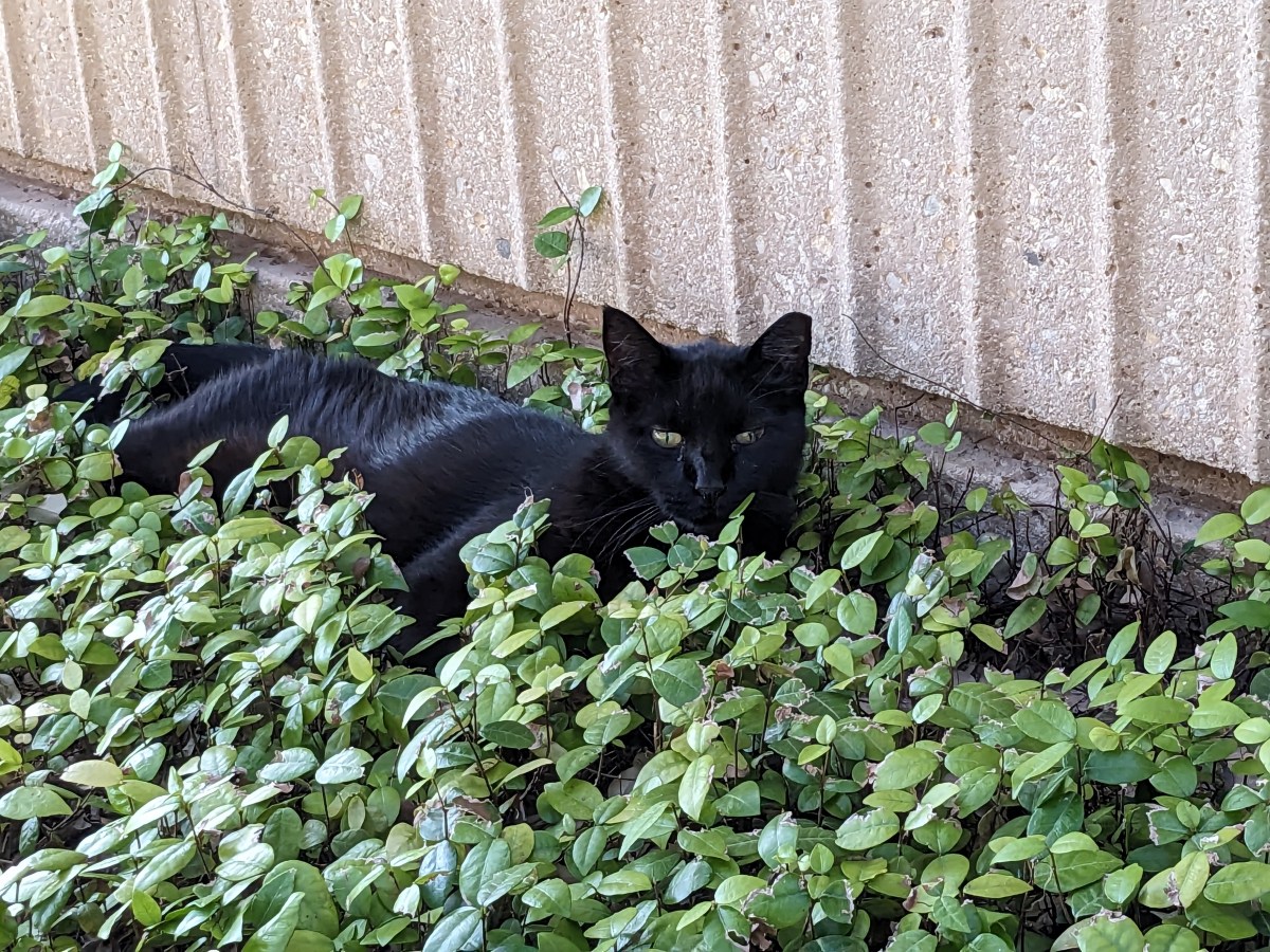 Lucifer, September 1, 2023