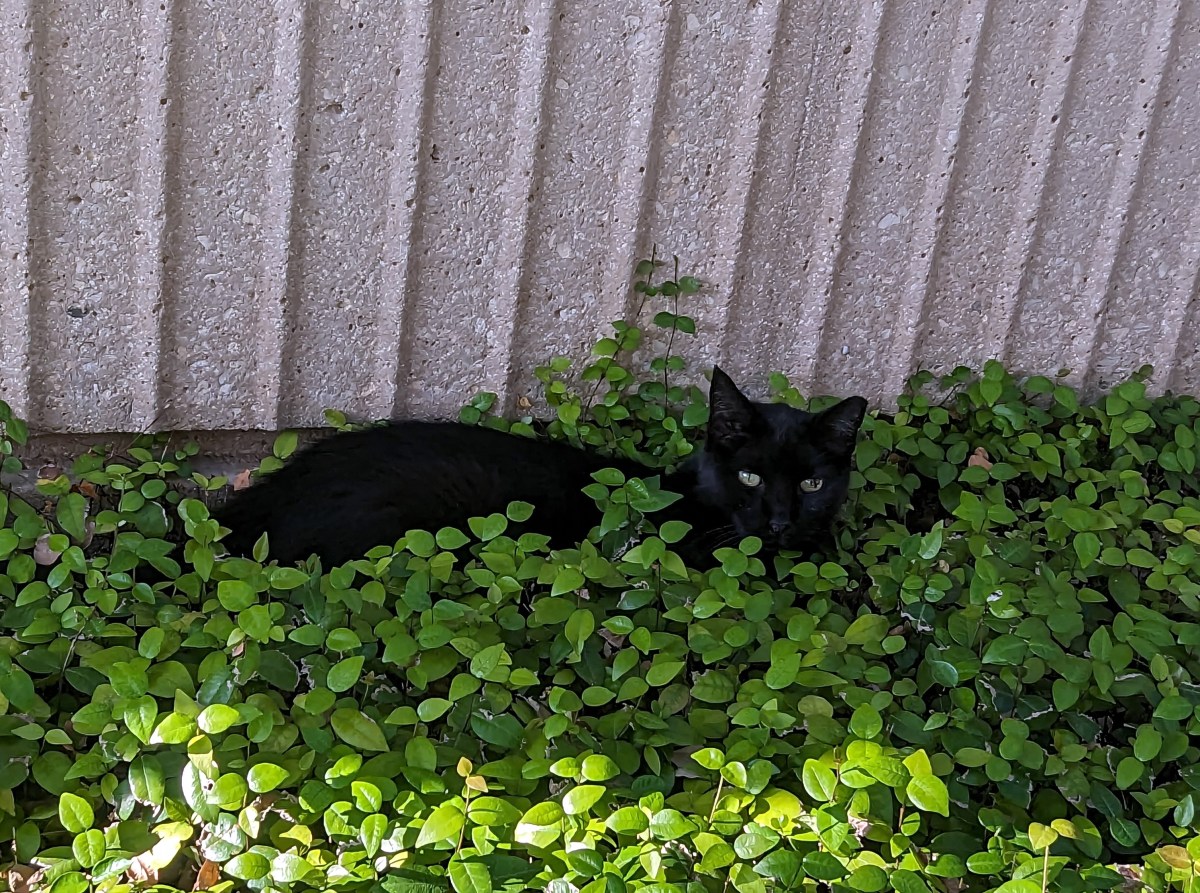 Lucifer, September 29, 2023