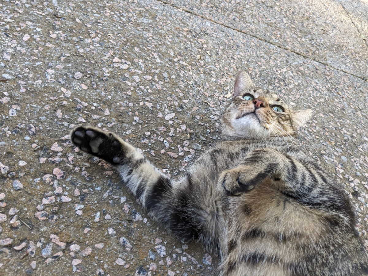 Troy, September 1, 2023