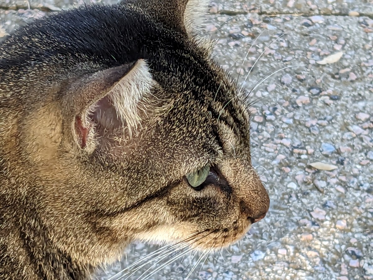 Troy, September 1, 2023