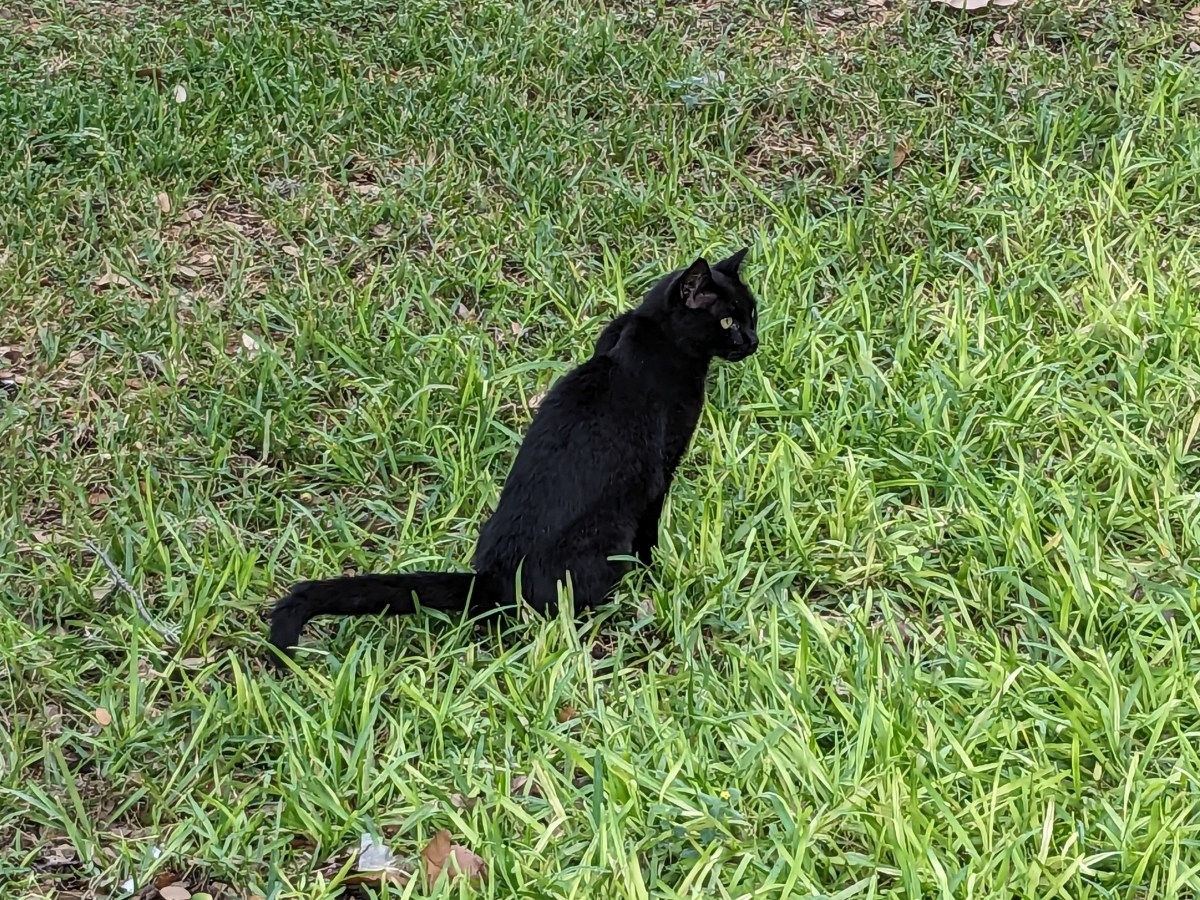 Lucifer, October 13, 2023