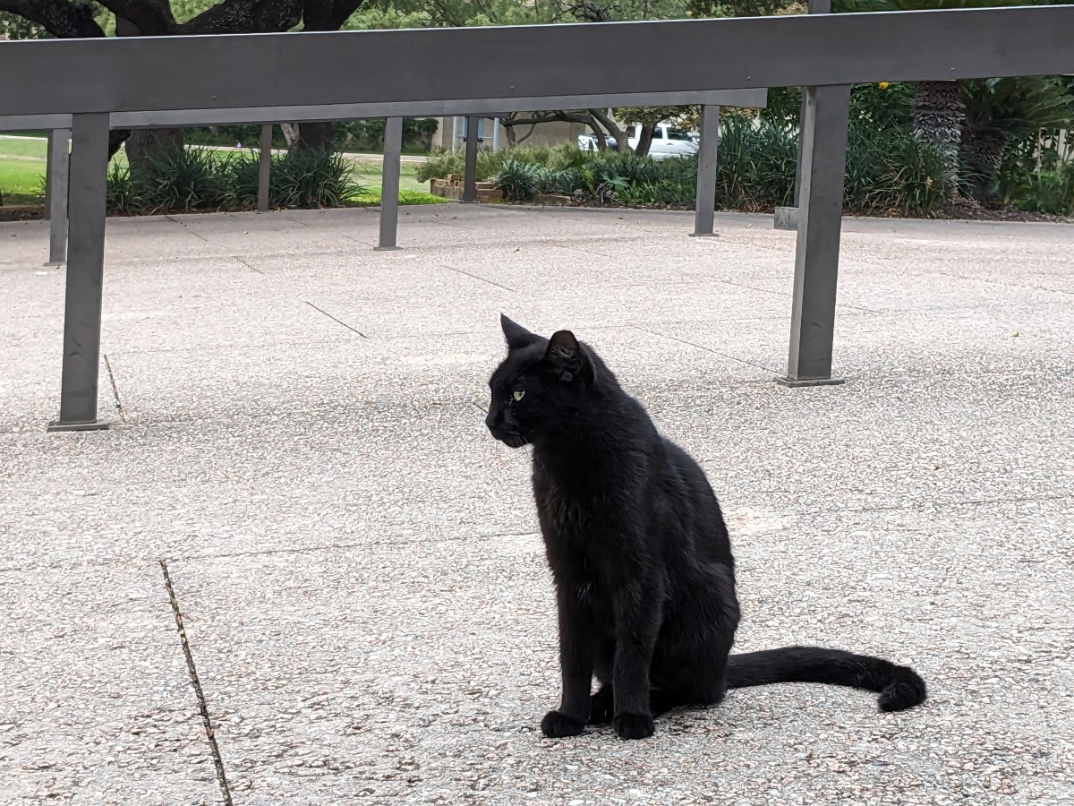 Lucifer, October 13, 2023