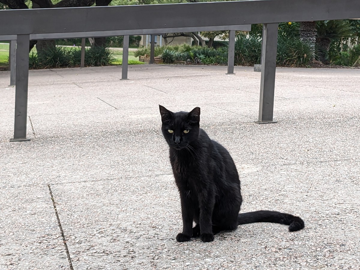 Lucifer, October 13, 2023