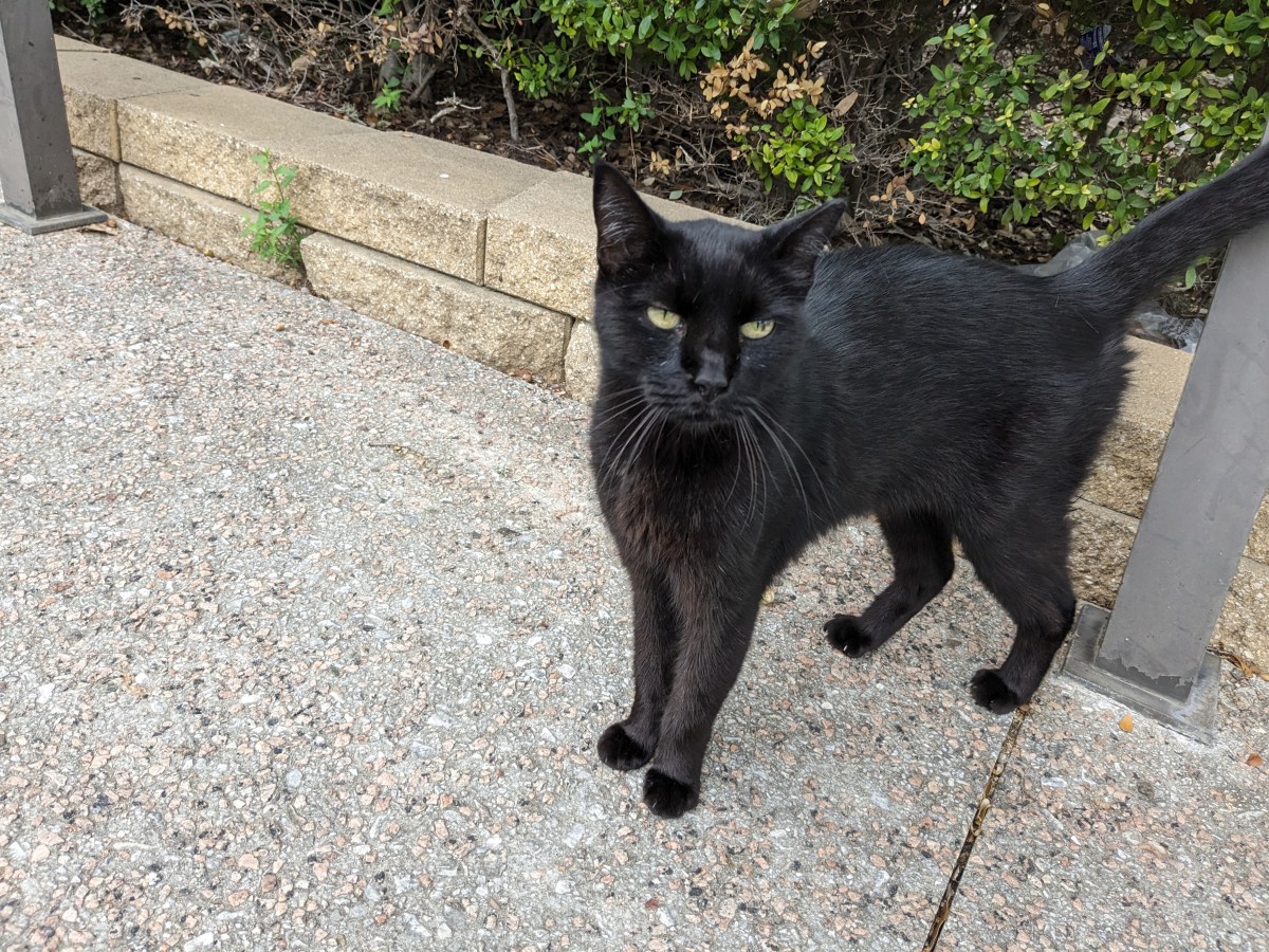 Lucifer, October 13, 2023