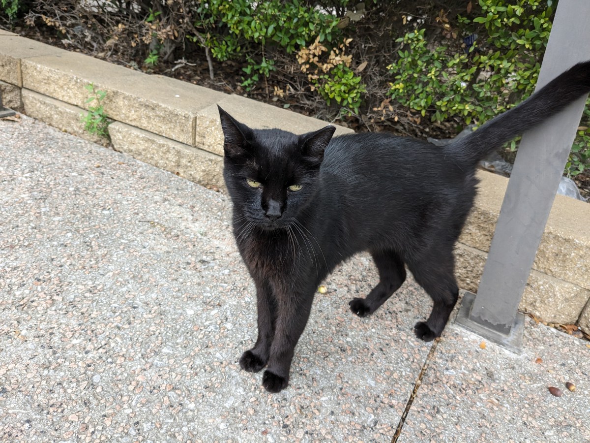 Lucifer, October 13, 2023