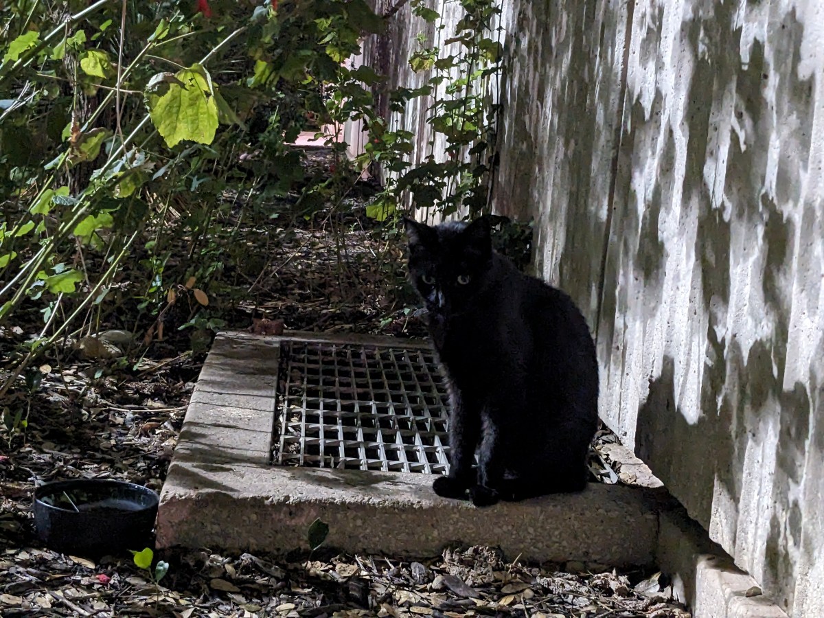 Lucifer, September 30, 2023