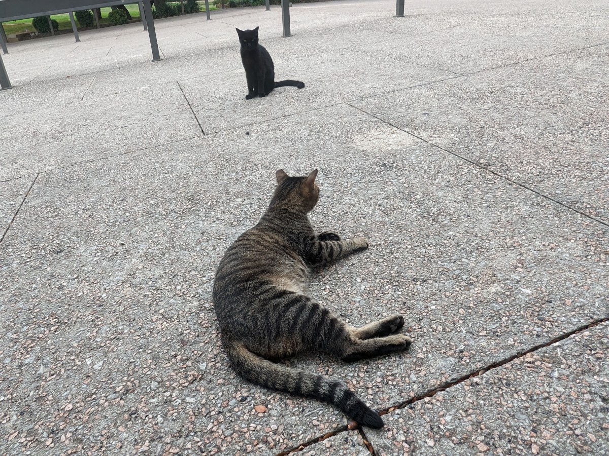 Troy & Lucifer, October 13, 2023