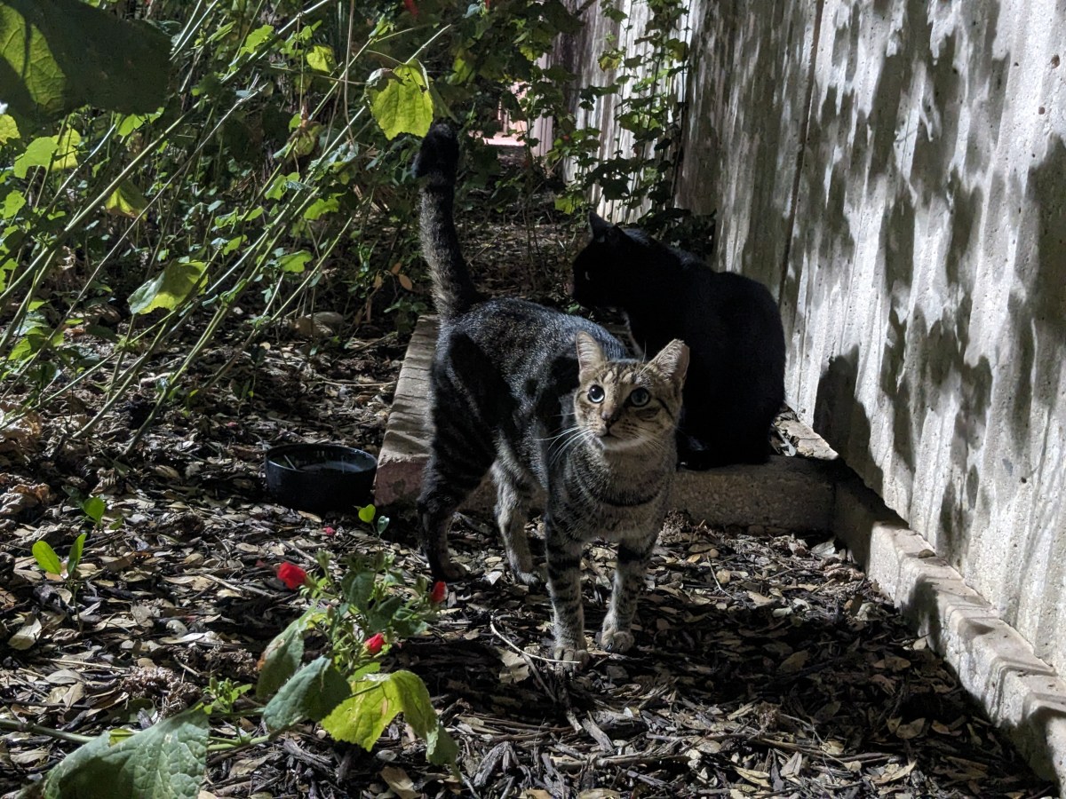 Troy & Lucifer, September 30, 2023