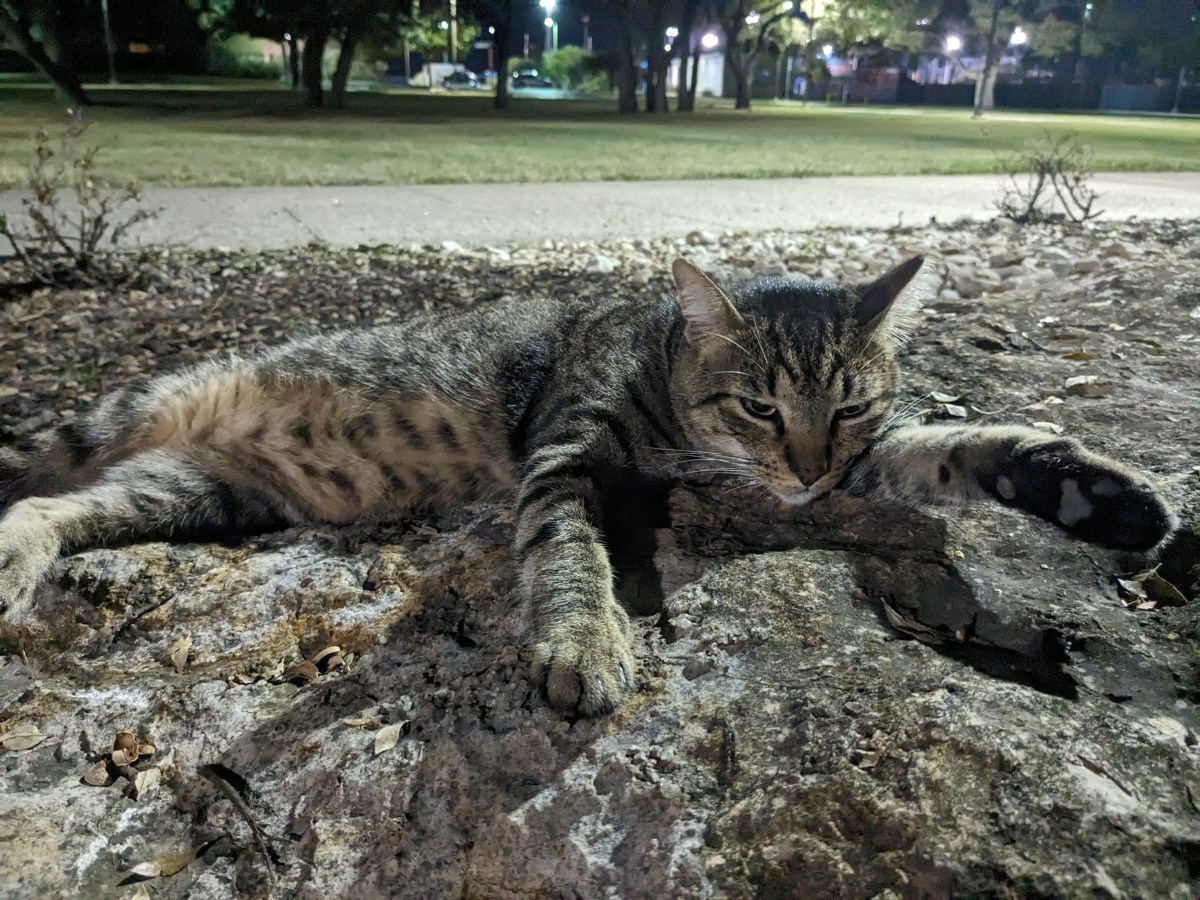 Troy, September 30, 2023