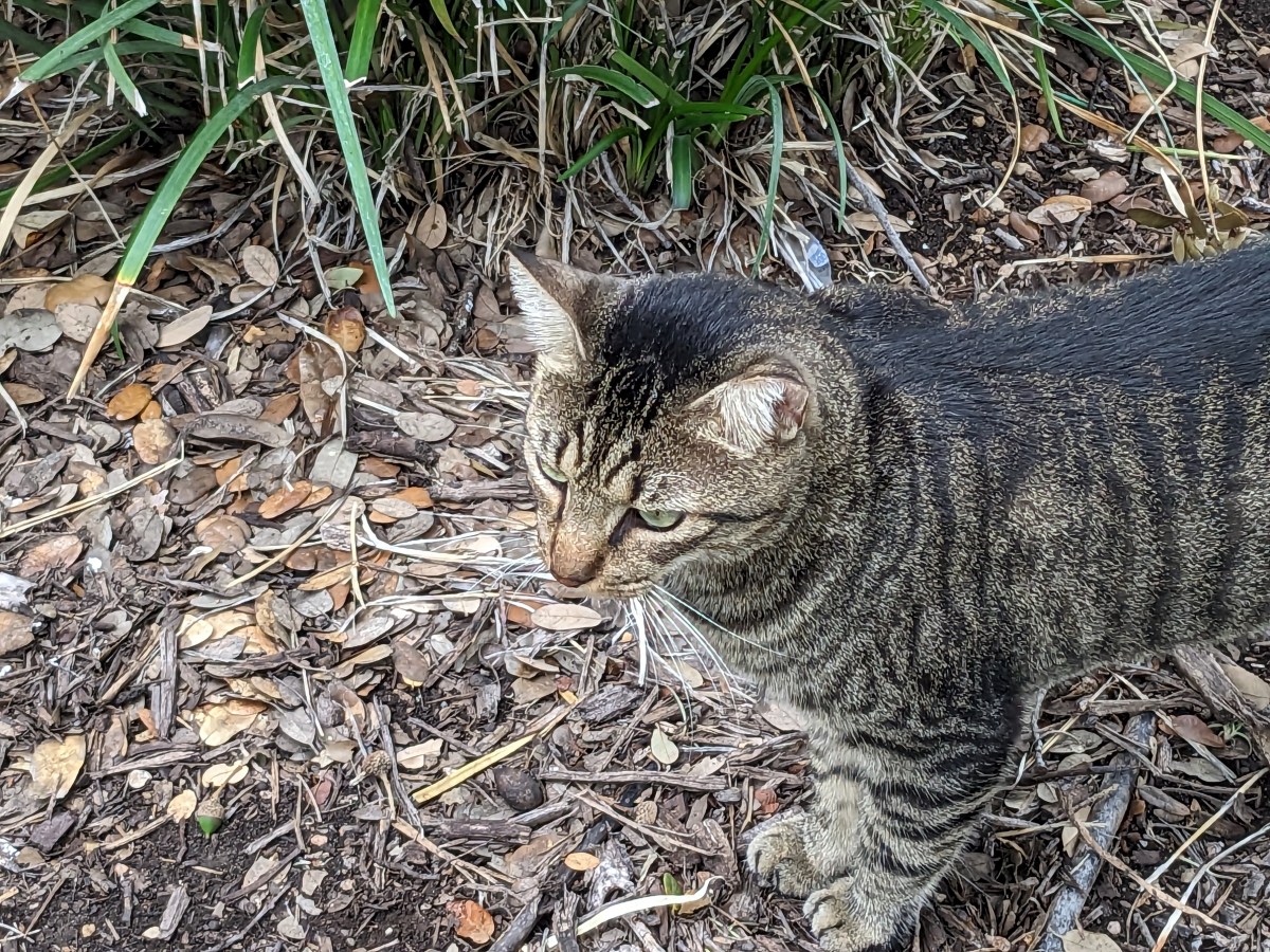 Troy, October 13, 2023