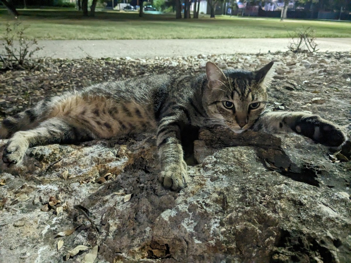 Troy, September 30, 2023