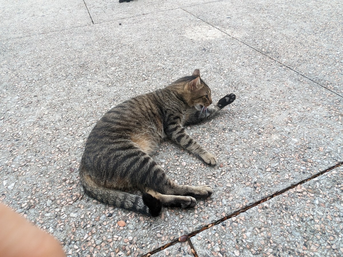 Troy, October 13, 2023