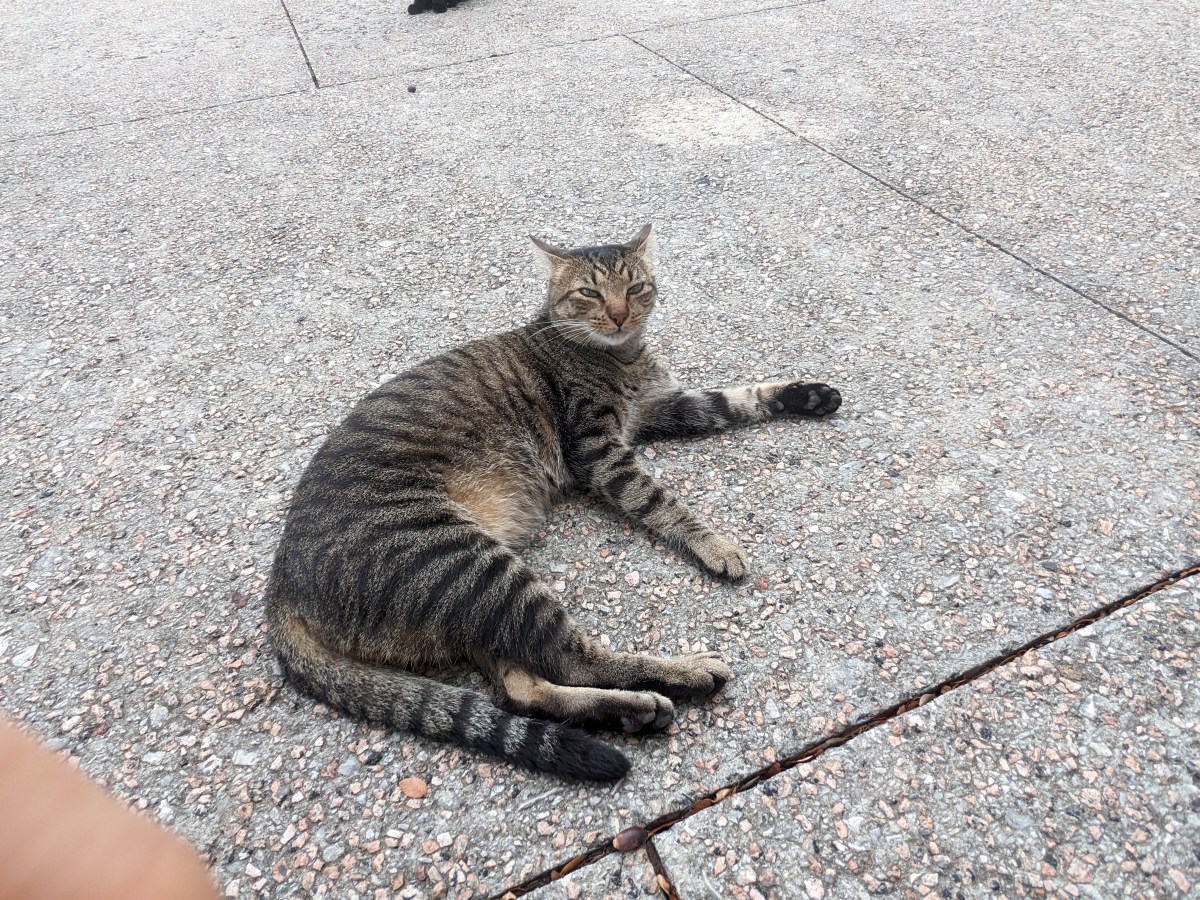 Troy, October 13, 2023