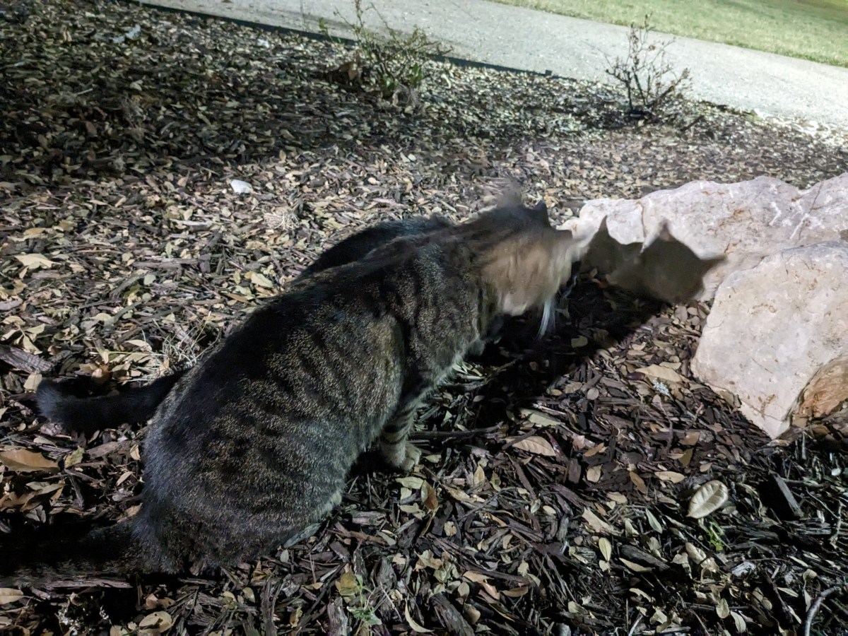 Troy & Lucifer, September 30, 2023