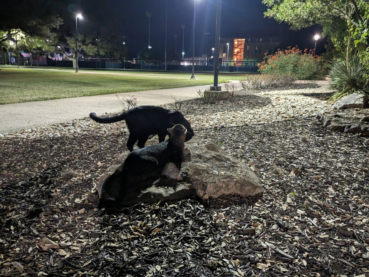 Troy & Lucifer, September 30, 2023