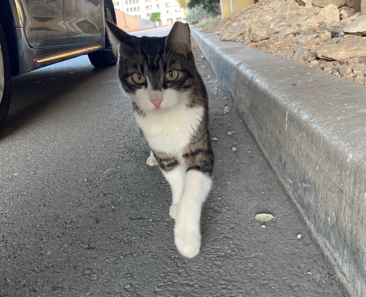 Bootsie, October 19, 2023