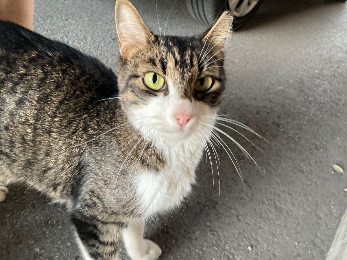 Bootsie, October 19, 2023