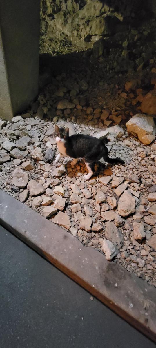 Bootsie, October 18, 2023