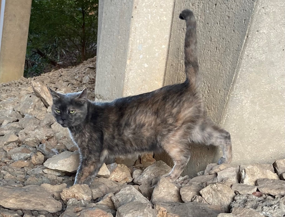 Chloe, October 19, 2023