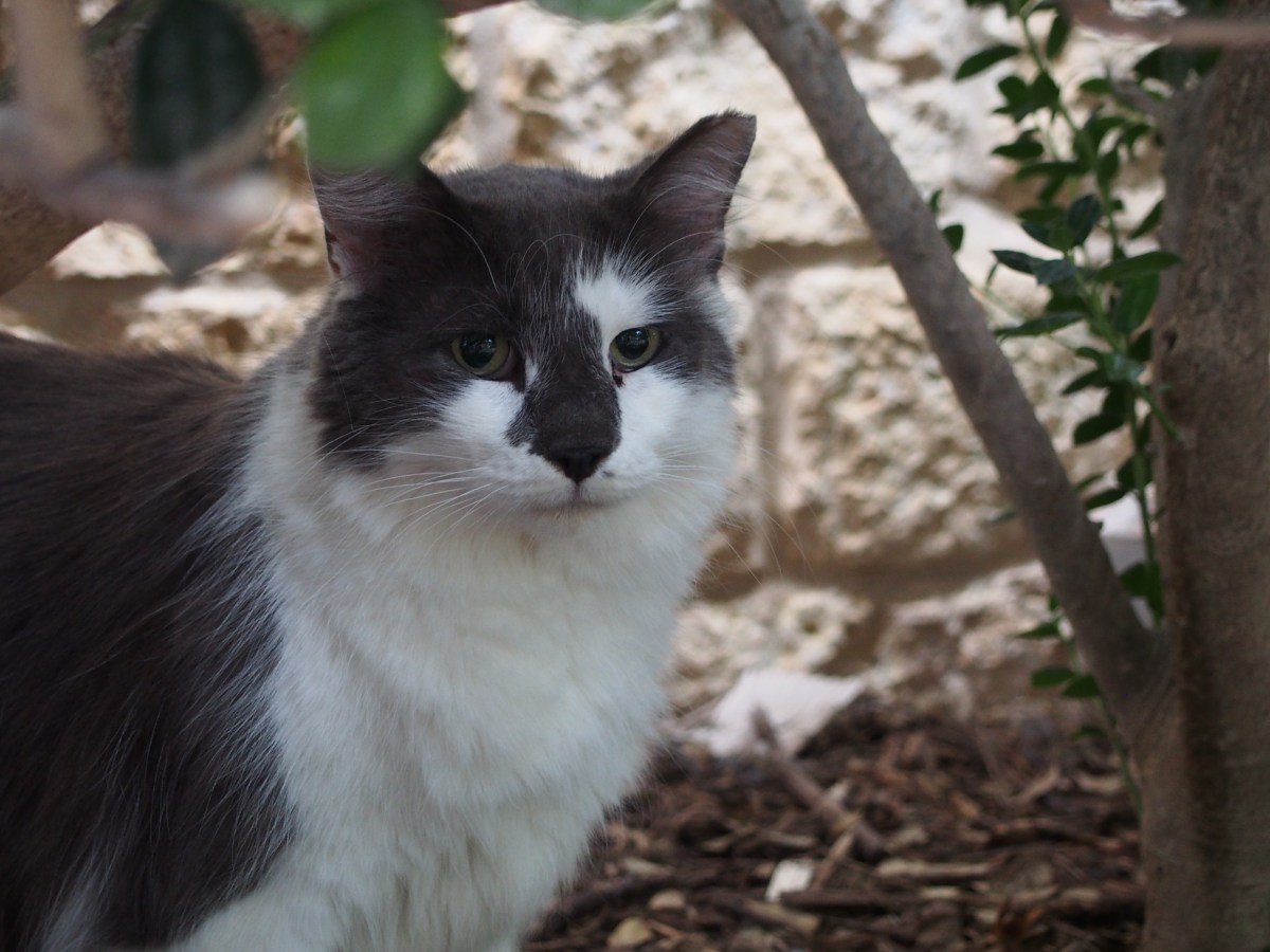 Charlie, November 25, 2023