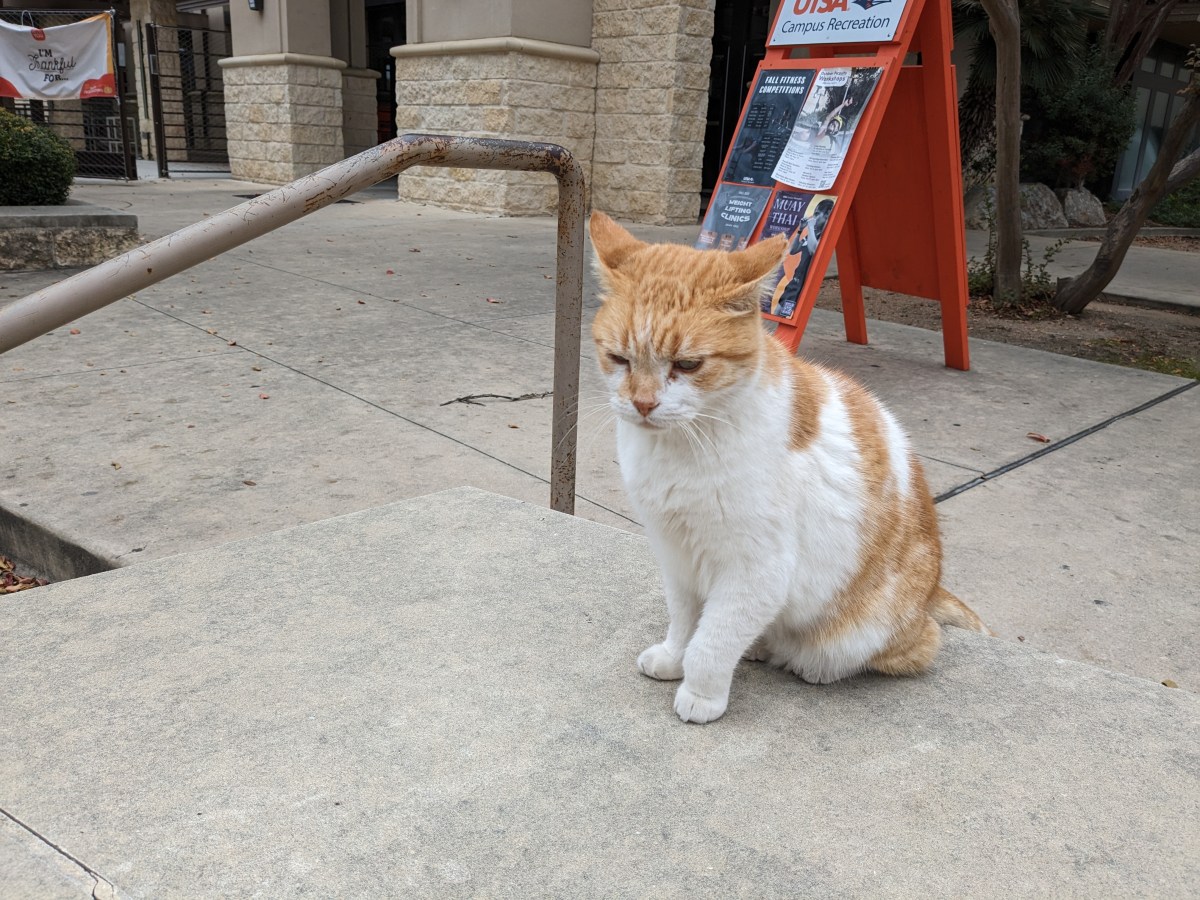 Harry, November 25, 2023