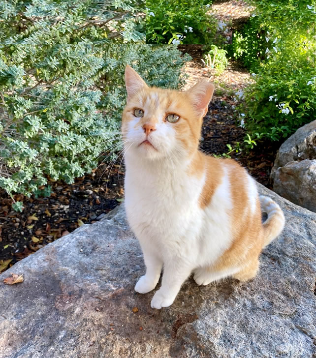 Harry, December 1, 2023