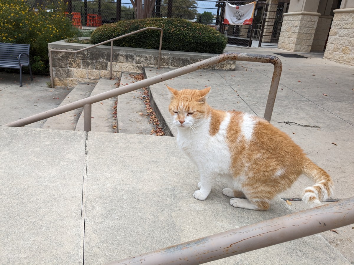 Harry, November 25, 2023