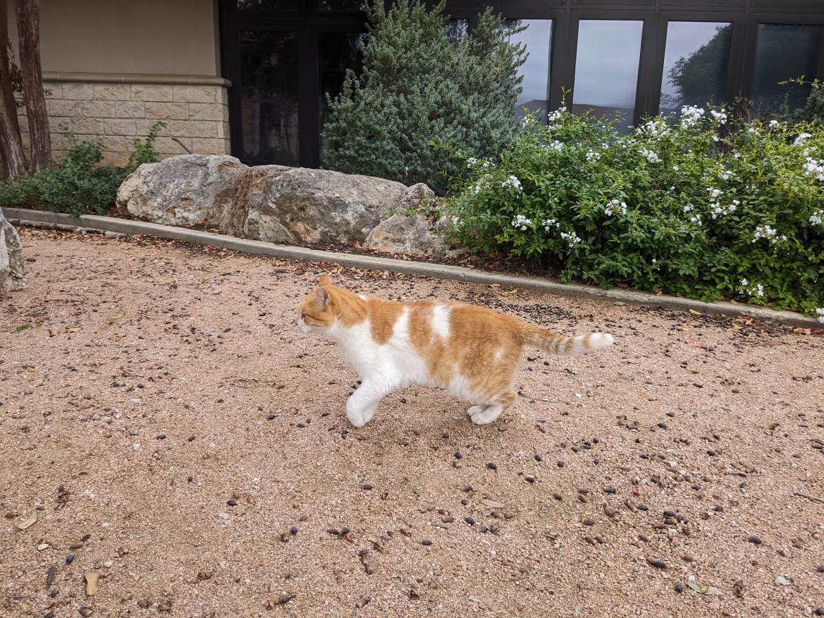 Harry, November 25, 2023