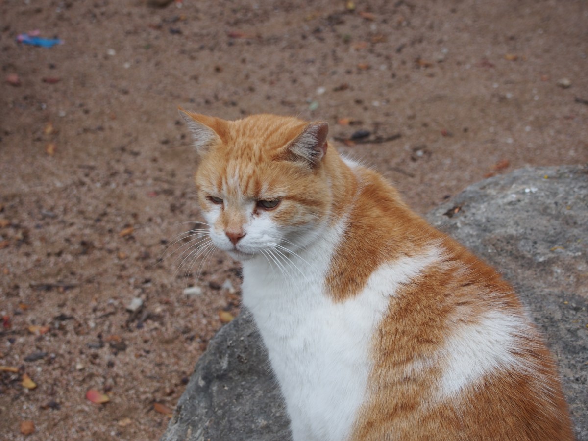 Harry, November 25, 2023