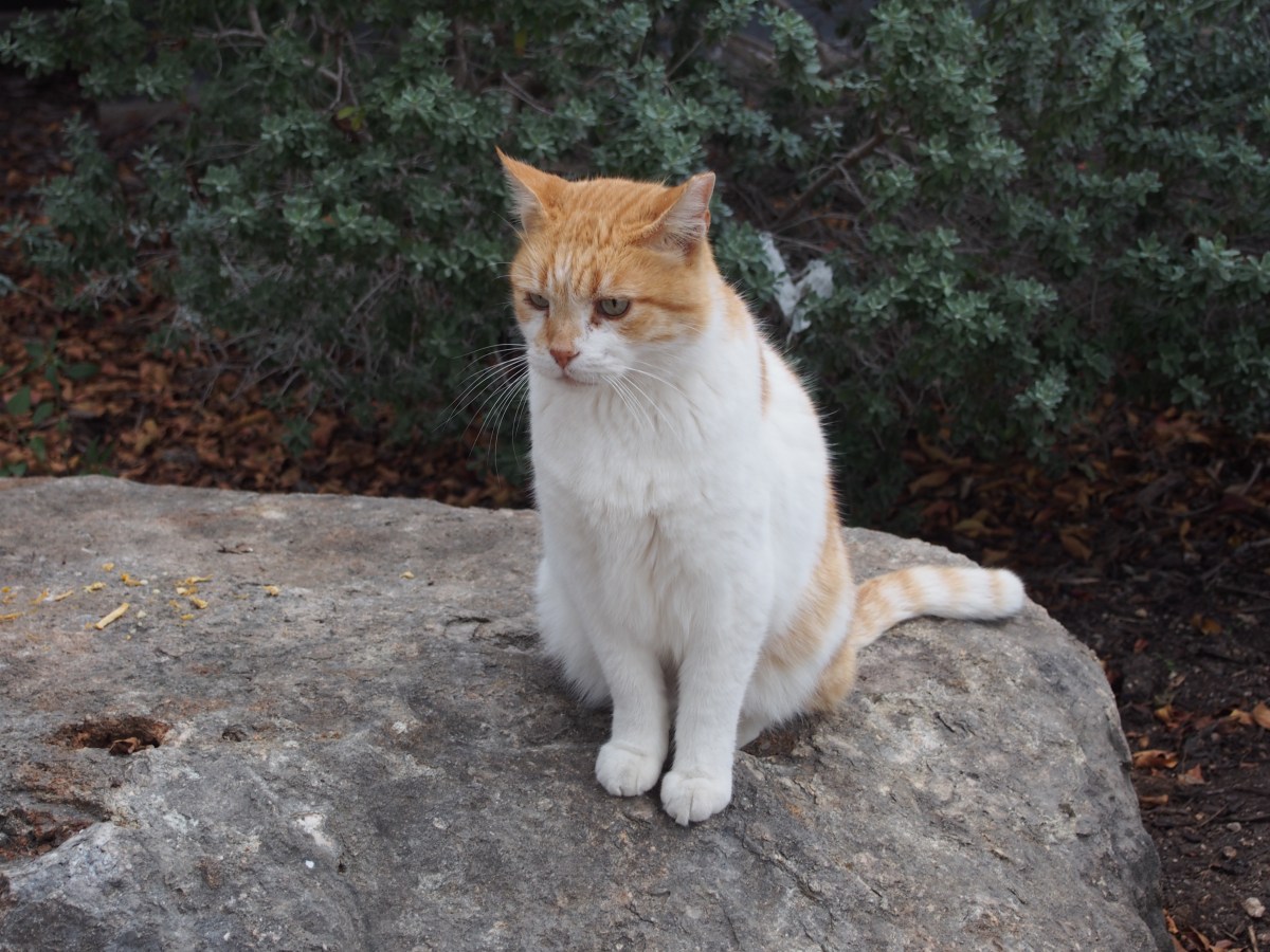 Harry, November 25, 2023