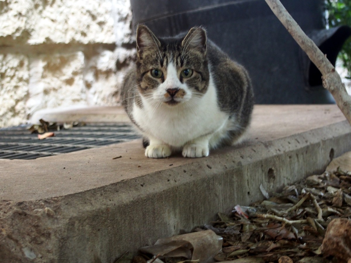 Hobbs, November 25, 2023