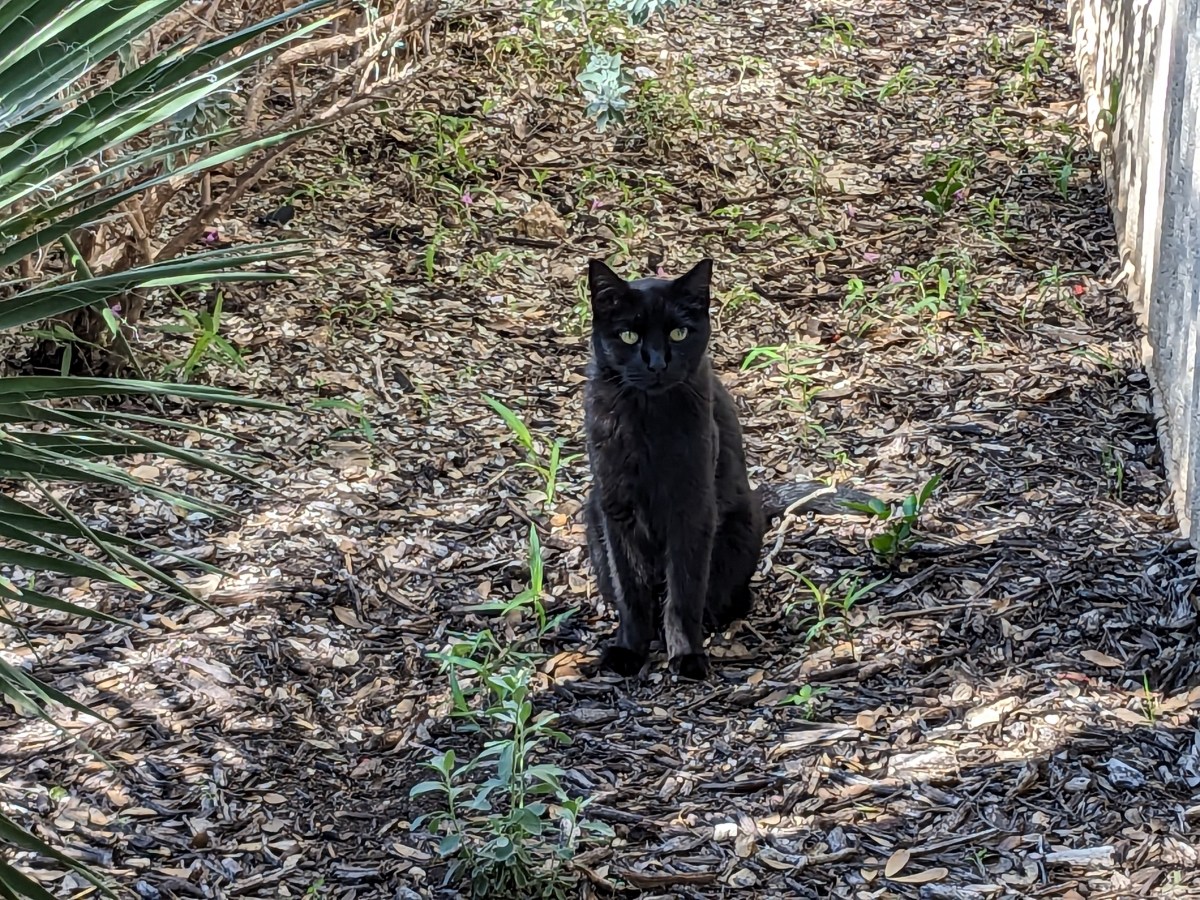 Lucifer, November 17, 2023