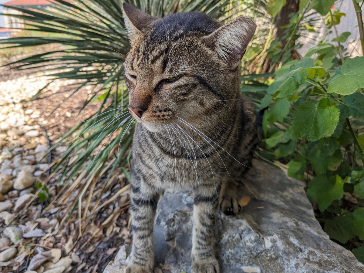 Troy, November 17, 2023