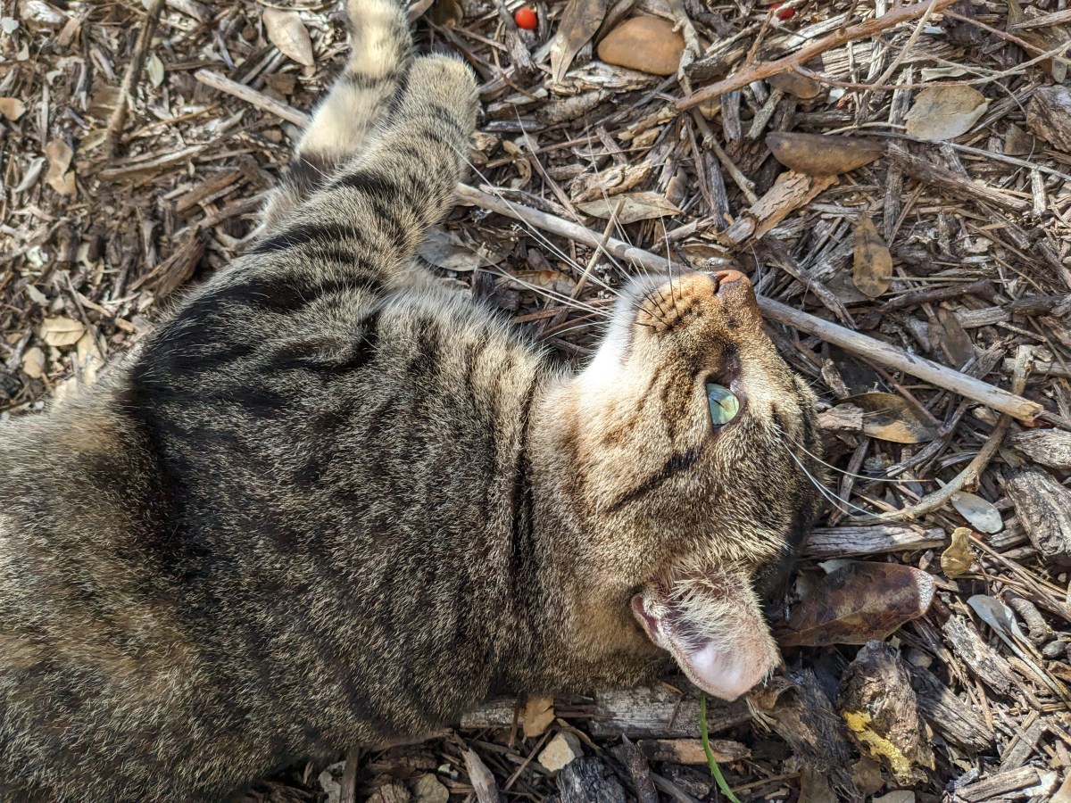 Troy, November 17, 2023