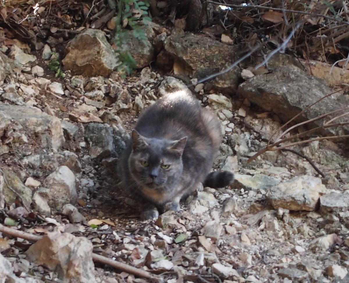 Chloe, November 26, 2023