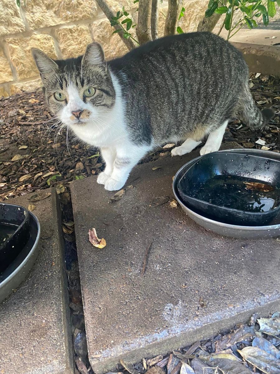 Hobbs, December 24, 2023