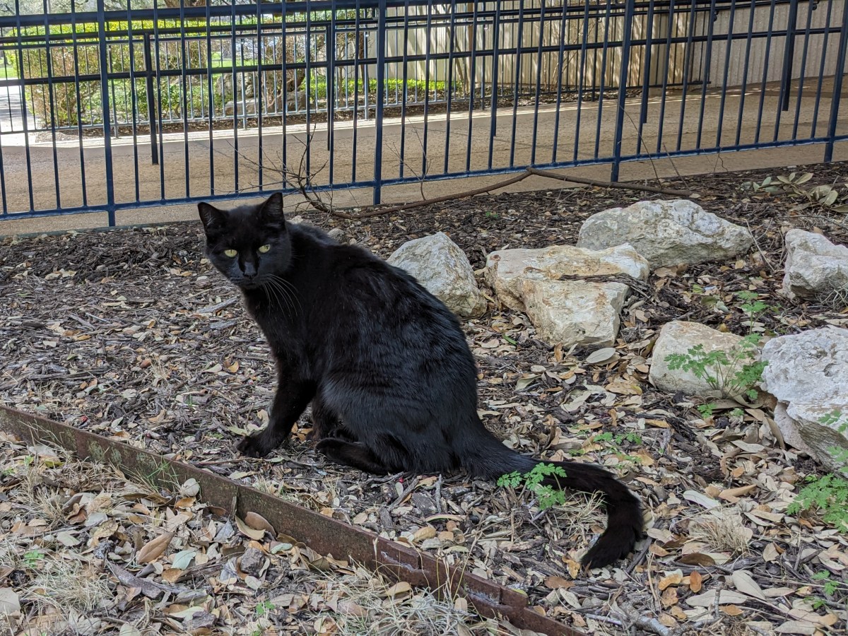 Lucifer, March 1, 2023