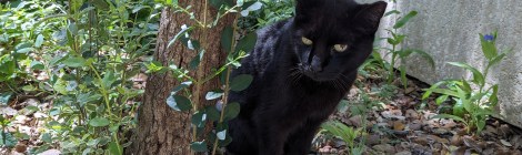 Lucifer, March 22, 2024