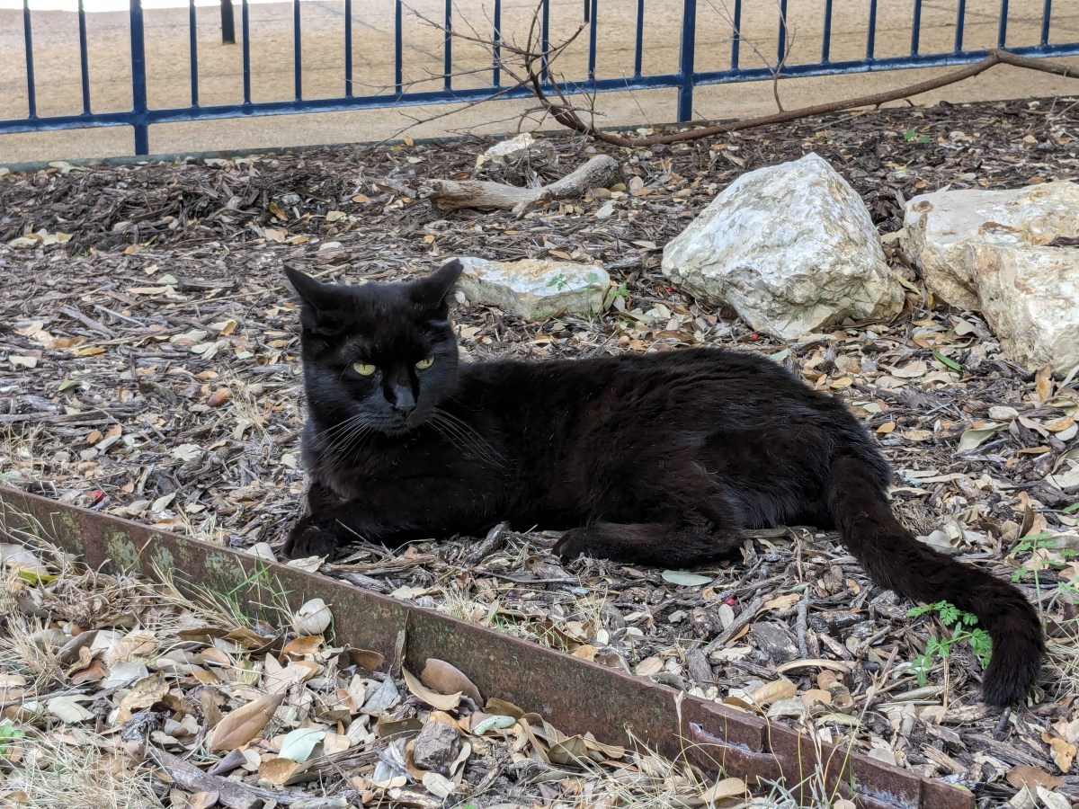 Lucifer, March 1, 2023