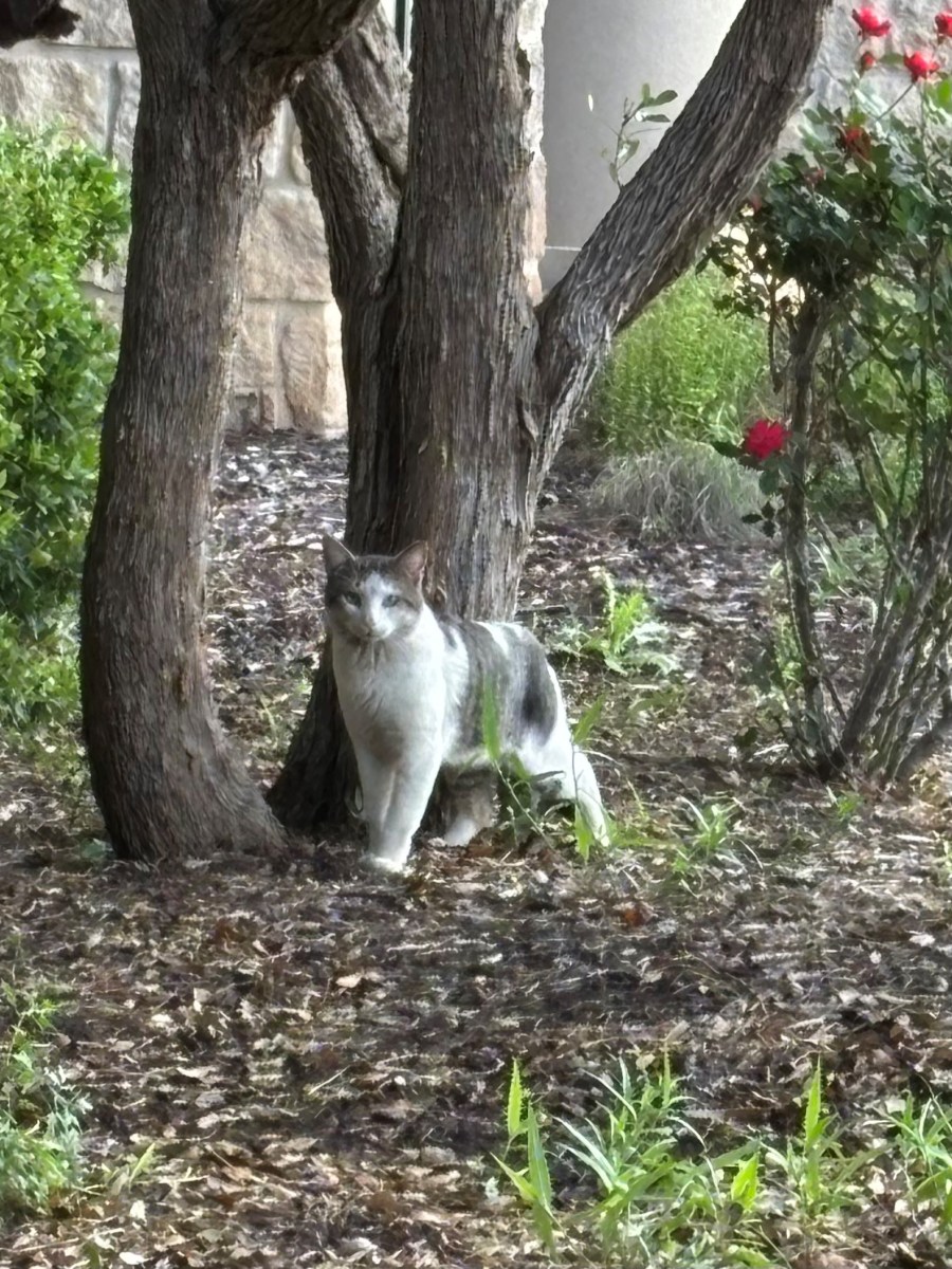 Jack November 15, 2025