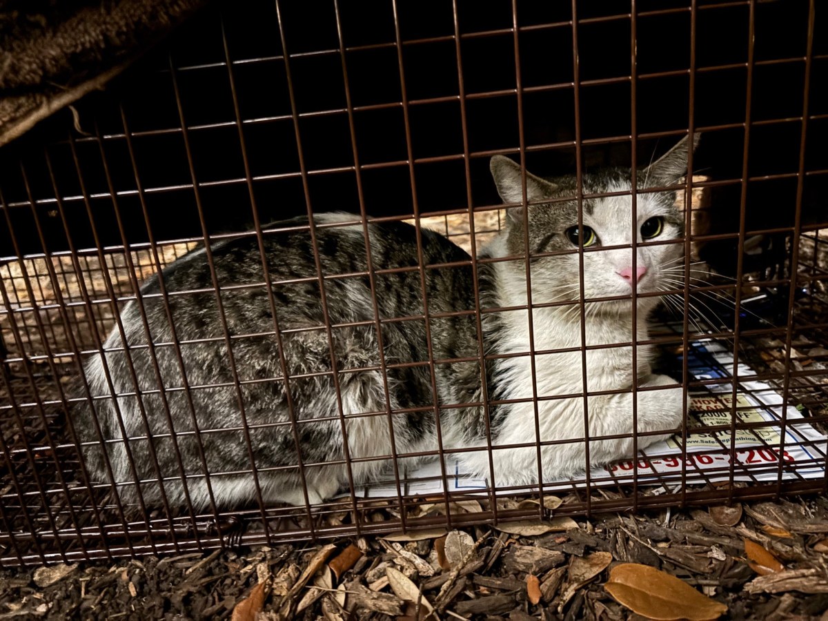 Jack November 15, 2025