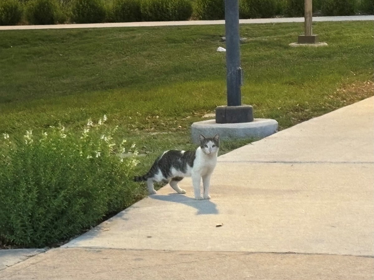 Jack November 15, 2025