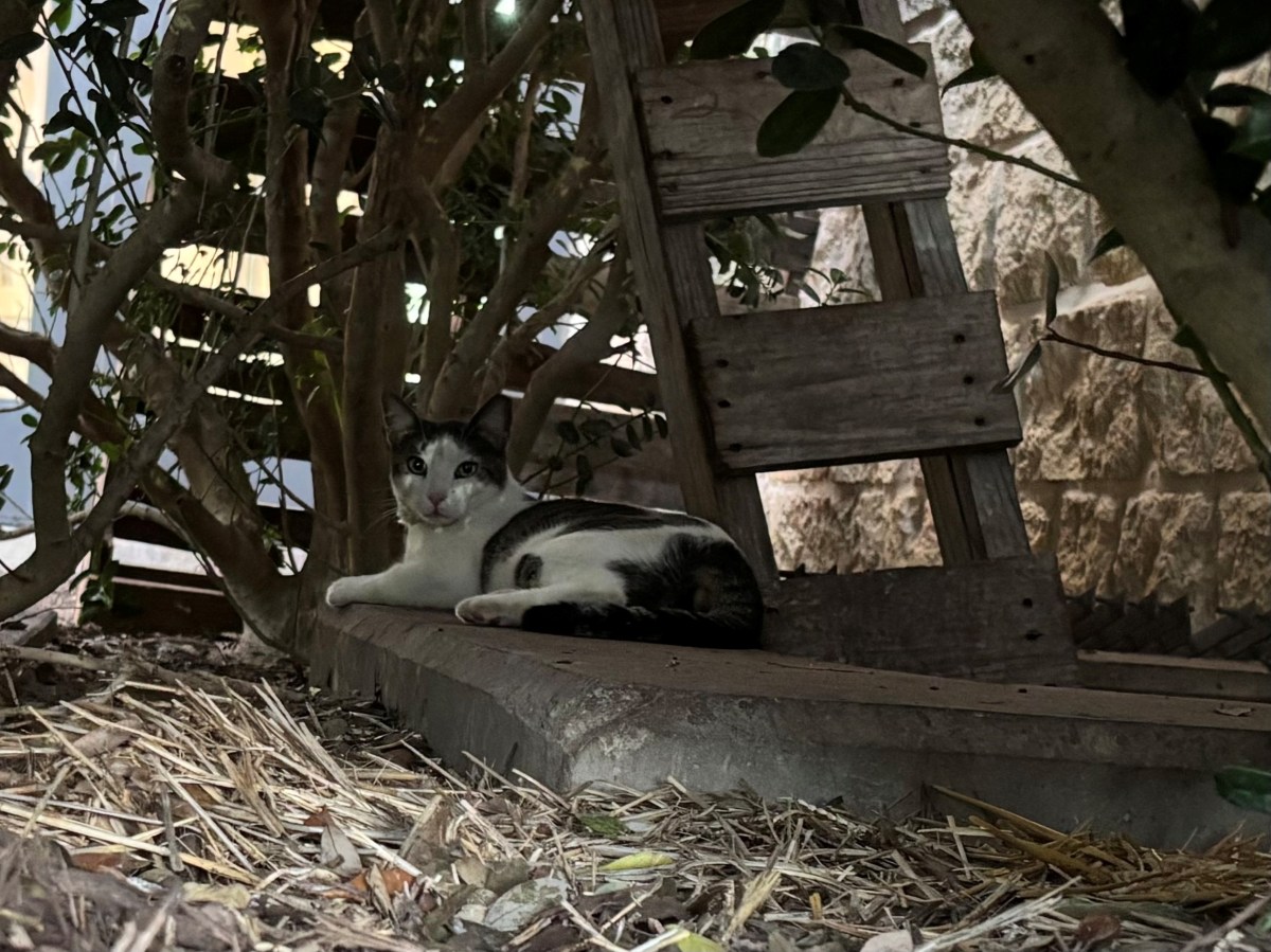 Jack November 15, 2025